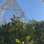 てっとう茶屋 UKAWA - 