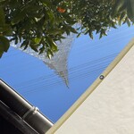 てっとう茶屋 UKAWA - 