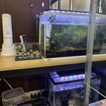 やまだや - テーブル席横