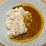 TOKYO MIX CURRY - 料理写真:TMCプレーンカレー