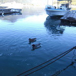 大紀商店 - 作業場奥から汽水湖である白石湖の風景を臨む