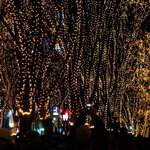 ガネーシャ - 光のページェント③