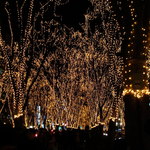 ガネーシャ - 光のページェント②