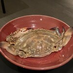日本料理 TOBIUME - 芦屋産の渡り蟹