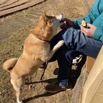 アリマベーカリー - 