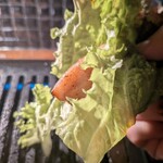 お肉一枚売りの焼肉店 焼肉とどろき - 