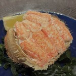 日本酒と生牡蠣 赤坂ソネマリ - 