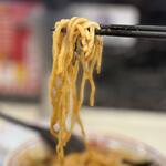 蒙古タンメン中本 - 通常麺