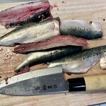 豆虎 - 真鰯を下ろして〜