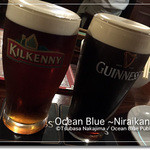 Irish Pub BULL & BEAR - 