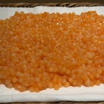 島津 - キラキラの半熟いくら