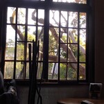 カフェ おきもと - 店内