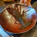 메이에키 텟판야키 규우긴