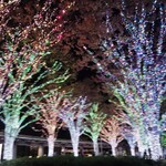 ラトリエ ドゥ ジョエル・ロブション - 