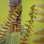 ロング！ロンガー！！ロンゲスト！！！ - 