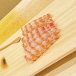 虎ノ門 鮨玄 - 車海老（熊本 天草）