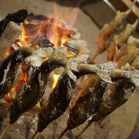 柳家 - 長良川の落ち鮎(2014.11)  これだけ鮎が並ぶと圧巻です。