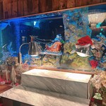 アクアリウムイタリアン心斎橋ライム - 