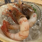 酒場しゃきっと - 