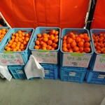 夢みかん直売所 - 料理写真:店内みかん陳列