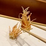 天婦羅 みやしろ - 車海老の顎足