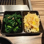 焼肉 ジャンボ はなれ - ナムル2種