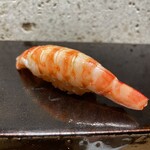 恵比寿 鮨 藤 - 車海老　提供温度が抜群