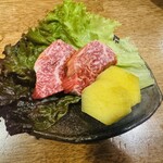 つねちゃん - サガリコブ