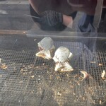 米澤たい焼店 - 料理写真: