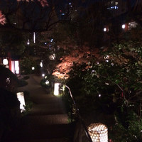 東京 芝 とうふ屋うかい - 