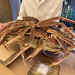 緒方 - 本日の間人ガニ