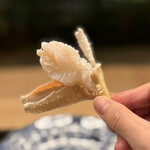 緒方 - 間人ガニ半生　爪