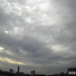 米澤牛バル 譽 - 