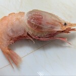 一色さかな広場 - 