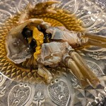 HIYACHU BAR 群青 - 