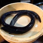 鰻場一致 - 今日の鰻は浜松産