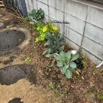 Siamo noi - 相変わらずわかりにくい標識