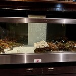 Red Lobster - 