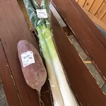 不動直売センター - 料理写真: