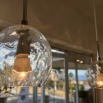 Shirokuma Coffee Beans - 