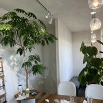 Shirokuma Coffee Beans - 