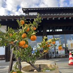 伊豆オレンヂセンター - 