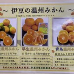 伊豆オレンヂセンター - 