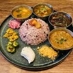 Curry Spice Gelateria KALPASI - 