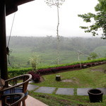 Mahagiri Panoramic Resort & Restaurant - テラスから棚田が見えます。小雨だけどｗ
