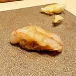 新宿 鮨 よこ田 - 