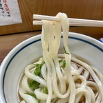 山下うどん - 2025.12.20  かけうどん 小