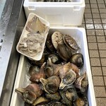 魚春 - 活き鮑なども販売！