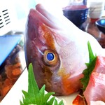 しらすや - うらめしや～