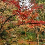 中国料理 四川 - 